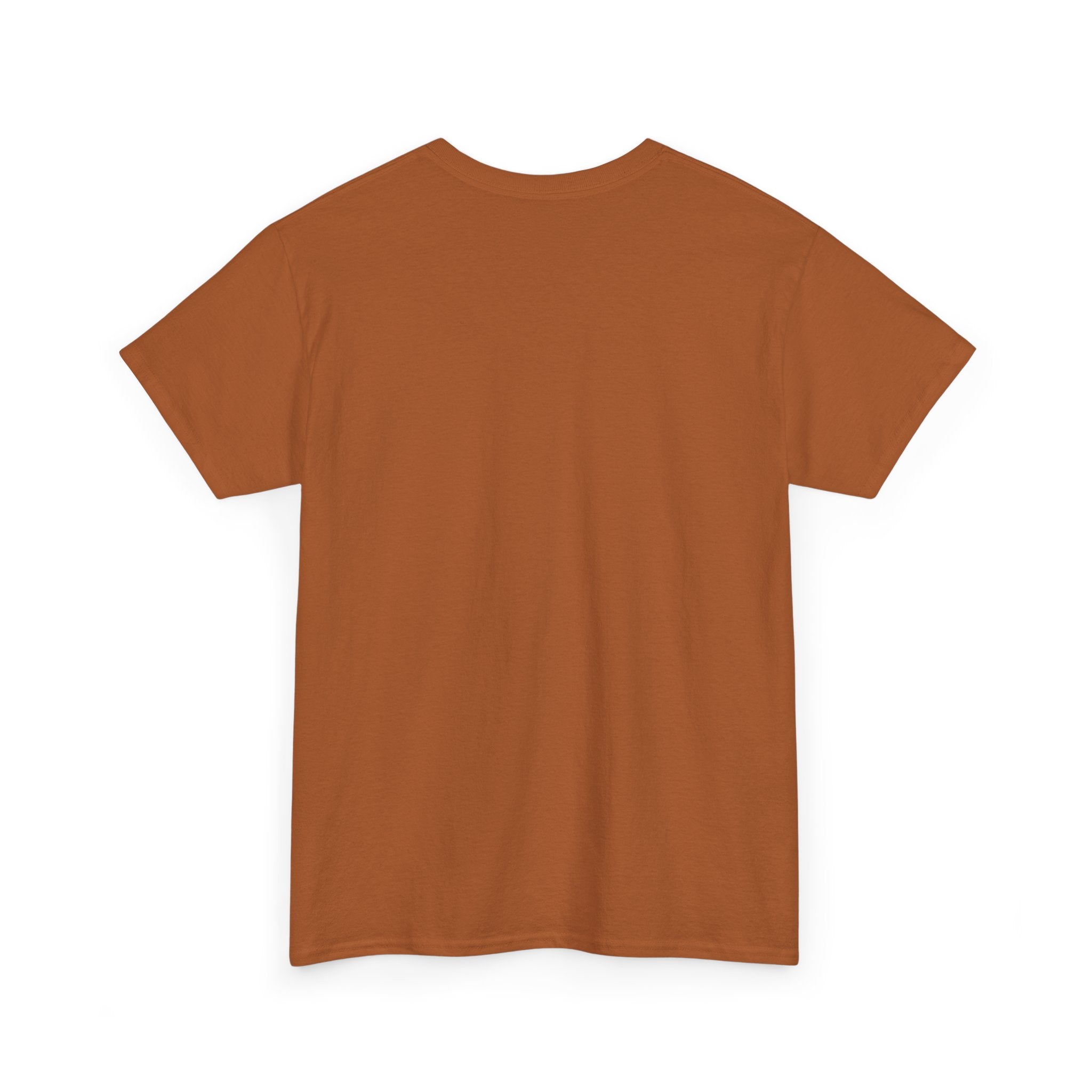 Inspirational Faith Tee, Unisex Cotton Shirt, Walk by Faith Apparel, Comfortable Religious Gift, Casual Everyday Wear